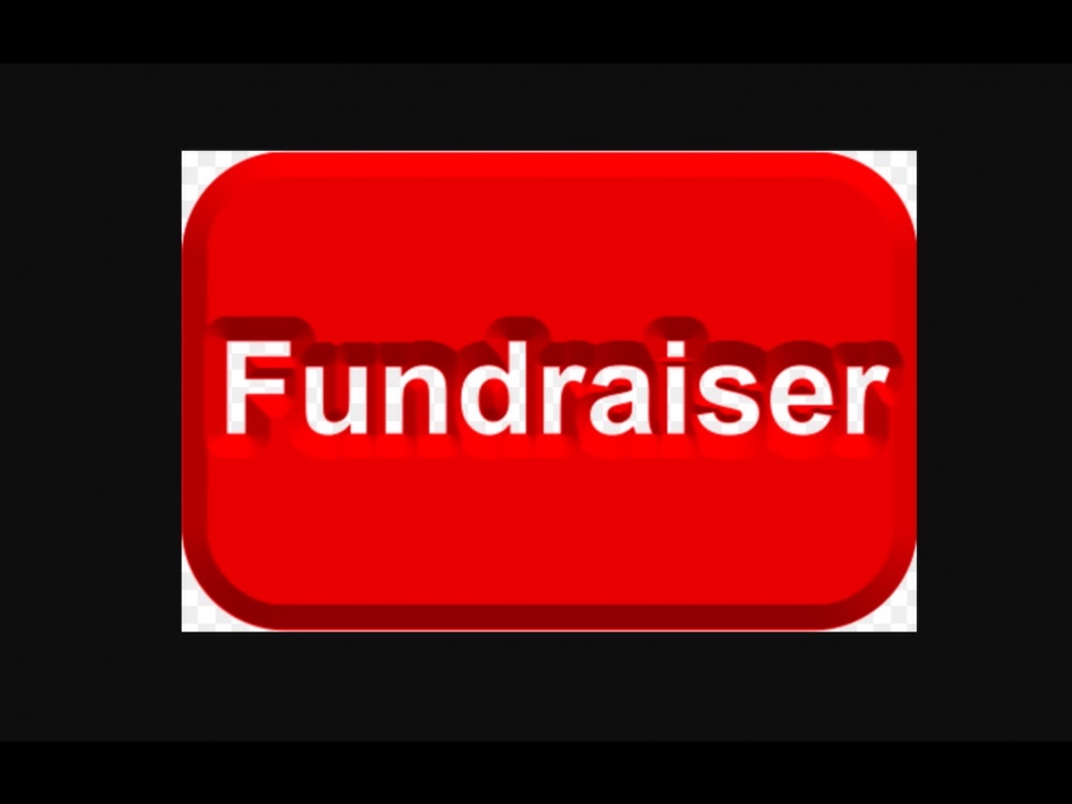 Dragons Den Fundraiser